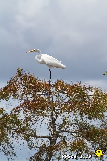 IMG_4765.JPG