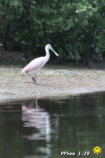 IMG_4898.JPG