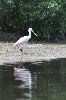IMG_4898_.JPG